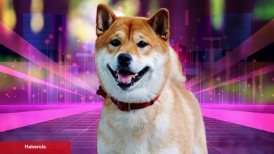 Shiba Inu, 3 Büyük Haberi Duyurdu: İştirak da Var!