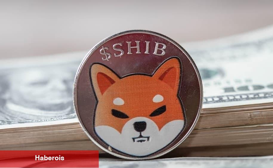 Shiba Inu Büyüyor: Yaklaşan Metaverse Projesine Bir Bakış! - Haberois Shiba Inu Büyüyor: Yaklaşan Metaverse Projesine Bir Bakış!