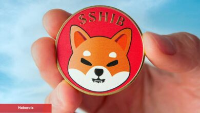 Shiba Inu Büyüyor: Yaklaşan Metaverse Projesine Bir Bakış!