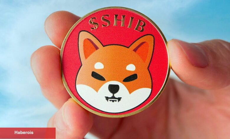 Shiba Inu Büyüyor: Yaklaşan Metaverse Projesine Bir Bakış! - Haberois Shiba Inu Büyüyor: Yaklaşan Metaverse Projesine Bir Bakış!