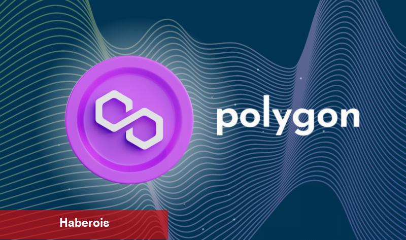 Sıradaki Boğa Piyasası İçin En Uygun Altcoin Bahisleri Hangileri?