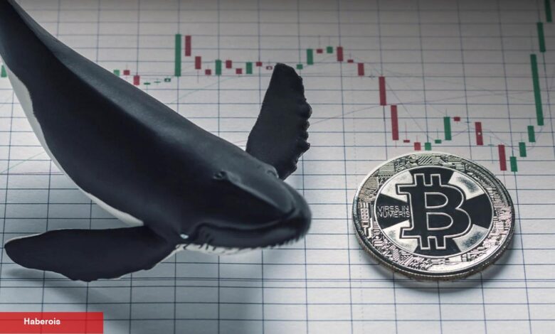 Tarihi Bitcoin Balinaları Uyandı! Sıradaki Atak Ne? - Haberois Tarihi Bitcoin Balinaları Uyandı! Sıradaki Atak Ne?