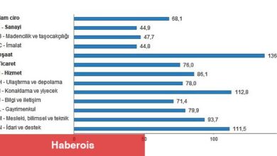 TÜİK: Ciro Endeksleri, Şubat 2023