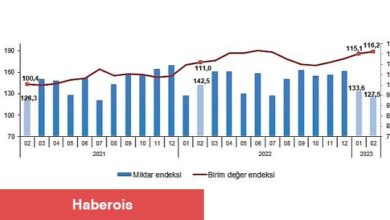 TÜİK: İhracat birim değer endeksi %4,6 arttı