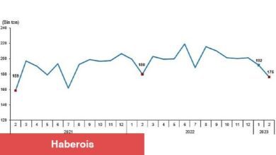 TÜİK: Tavuk eti üretimi 176 bin 236 ton, tavuk yumurtası üretimi 1,61 milyar adet olarak gerçekleşti