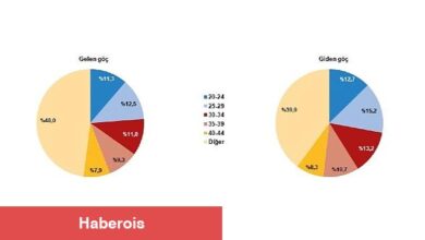 TÜİK: Yurt dışından Türkiye'ye 340 bin 845 kişi göç etti