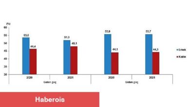 TÜİK: Yurt dışından Türkiye'ye 739 bin 364 kişi göç etti