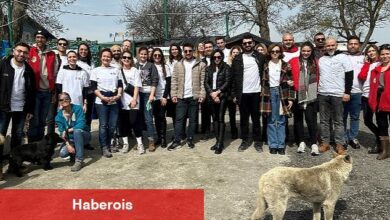 Tüm Canlılar Sevgi Dolu Bir Yuvayı Hak Eder
