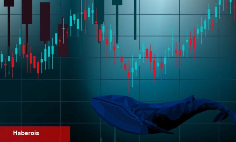 Ünlü Balinadan Altcoin İddiaları: Coin İsimleri Verdi! - Haberois Ünlü Balinadan Altcoin İddiaları: Coin İsimleri Verdi!