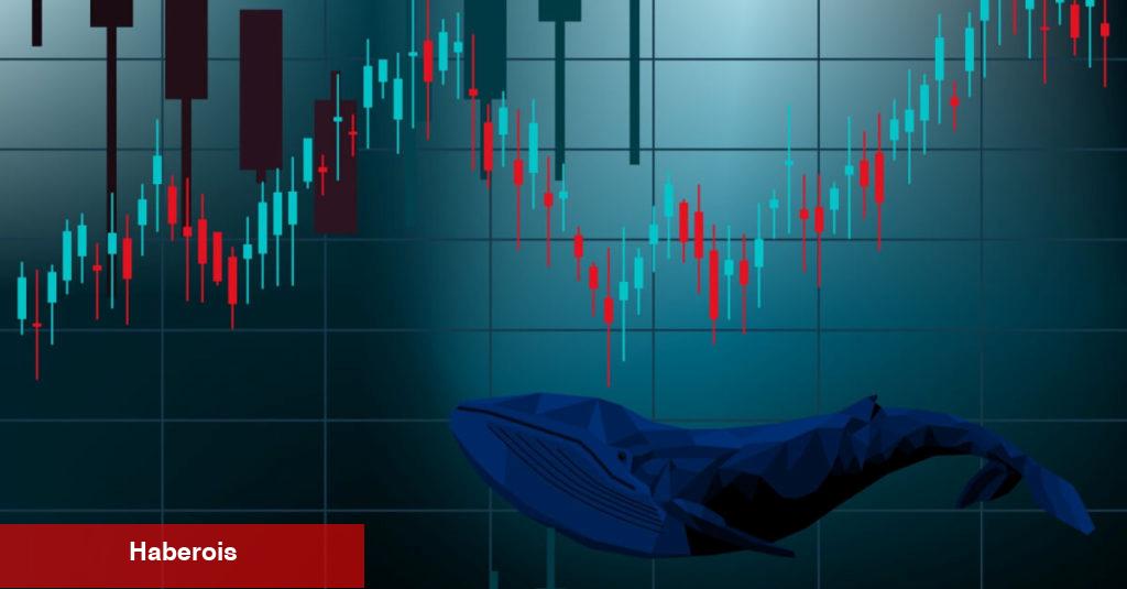 Ünlü Balinadan Altcoin İddiaları: Coin İsimleri Verdi!