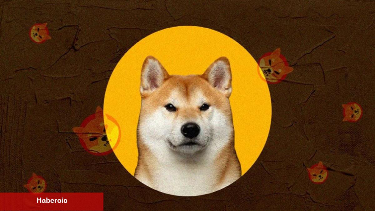 Ünlü Bitcoin Borsası Şaşırttı: Bu Coinden Topluyor!