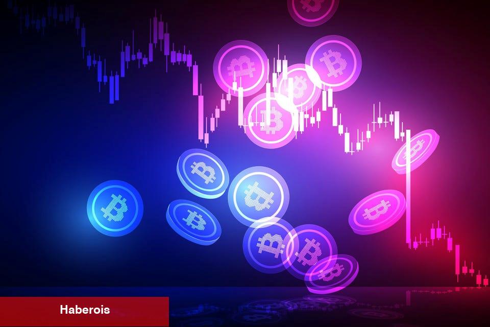 Ünlü Holding, Bu Kripto Paralara Yatırım Yaptı!