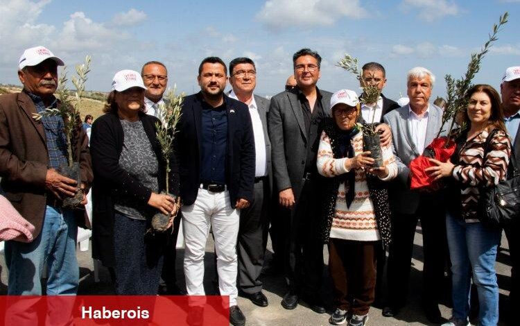 Üreticiye zeytin fidanı takviyesi - Haberois Üreticiye zeytin fidanı takviyesi