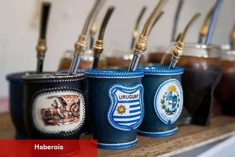 Uruguay nerede? Uruguay'a nasıl gidilir? Uruguay hakkında değişik bilgiler
