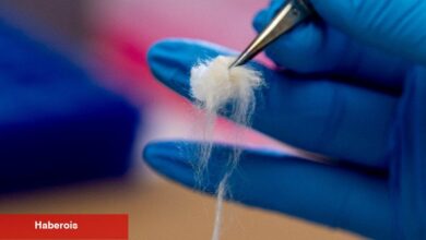 Yapay Zeka ve DNA Küresel Tedarik Zincirlerinin Gizemlerini Nasıl Çözüyor?