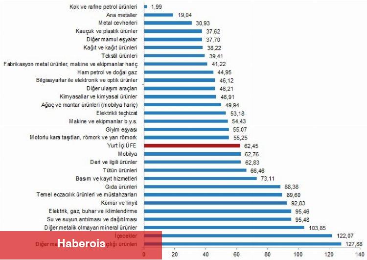 Yurt İçi Üretici Fiyat Endeksi aylık ve yıllık arttı