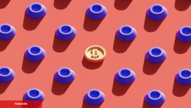 20x Yapan BRC-20 Token’ları Nedir? Ne İşe Fayda?
