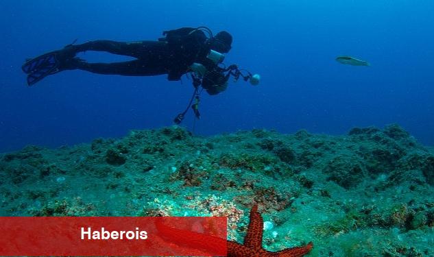 22. Uluslararası Kemer Su Altı Günleri - Haberois 22. Uluslararası Kemer Su Altı Günleri