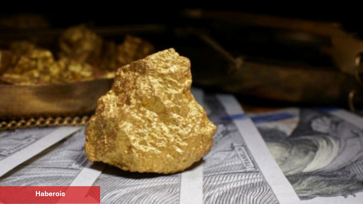 22 Wall Street Analistinden İddia: Haftaya Altın Ne Olur?