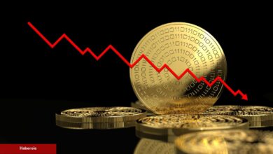 Açıklandı: En Fazla Bu Metaverse Coin’ler Kaybettirdi!