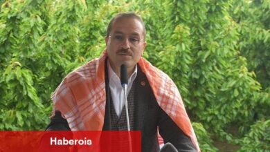 AK Partili Kırkpınar ilk kiraz hasadına katıldı