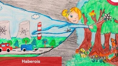 Akkuyu Nükleer'in Düzenlediği Ulusal Çocuk Resı̇m Yarışması'nın Kazananları Belli Oldu