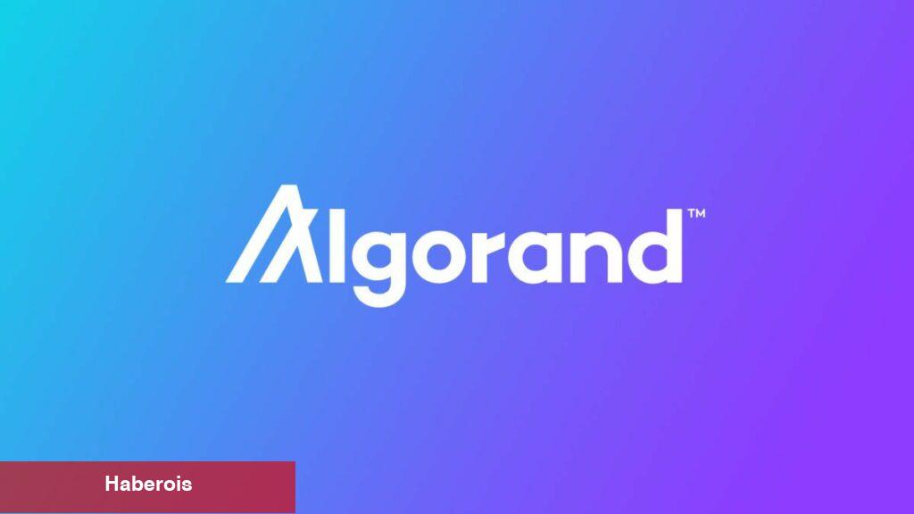 Algorand CEO’sundan Şaşırtan ALGO Fiyatı Yorumu!