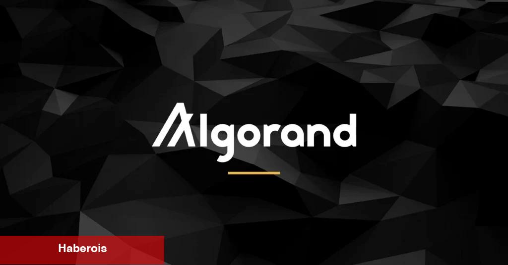 Algorand CEO’sundan Şaşırtan ALGO Fiyatı Yorumu!