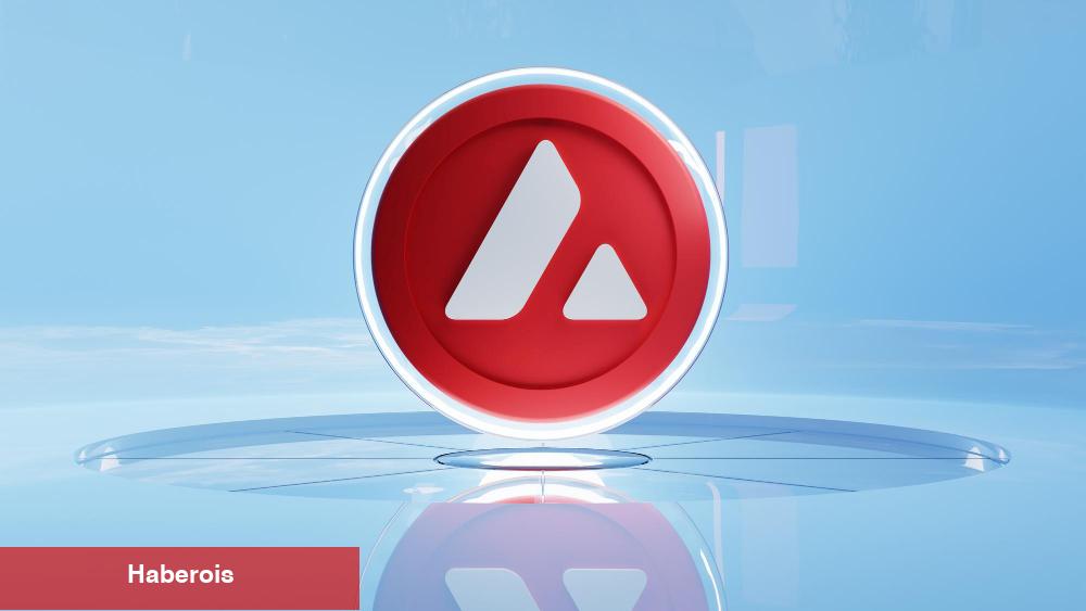 Alibaba MATIC Değil: Bu Altcoin ile Ortak Oldu!