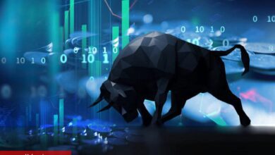 Analist: Bu Altcoinler Bir Sonraki Boğa Koşusunda Önde Olacak!