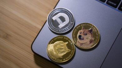Analistler Argümanlı: Sıradaki Büyük Göğüs Coin, Bu Olacak!