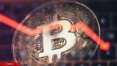 Analistler: Bu 9 Altcoin Tabana Vurdu! Ralliye Hazırlanın