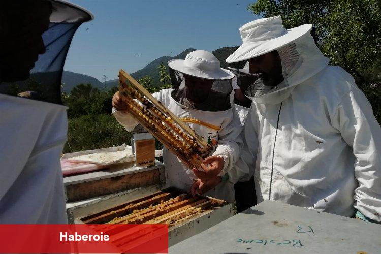 Arıcılık üretimi desteklenmeli
