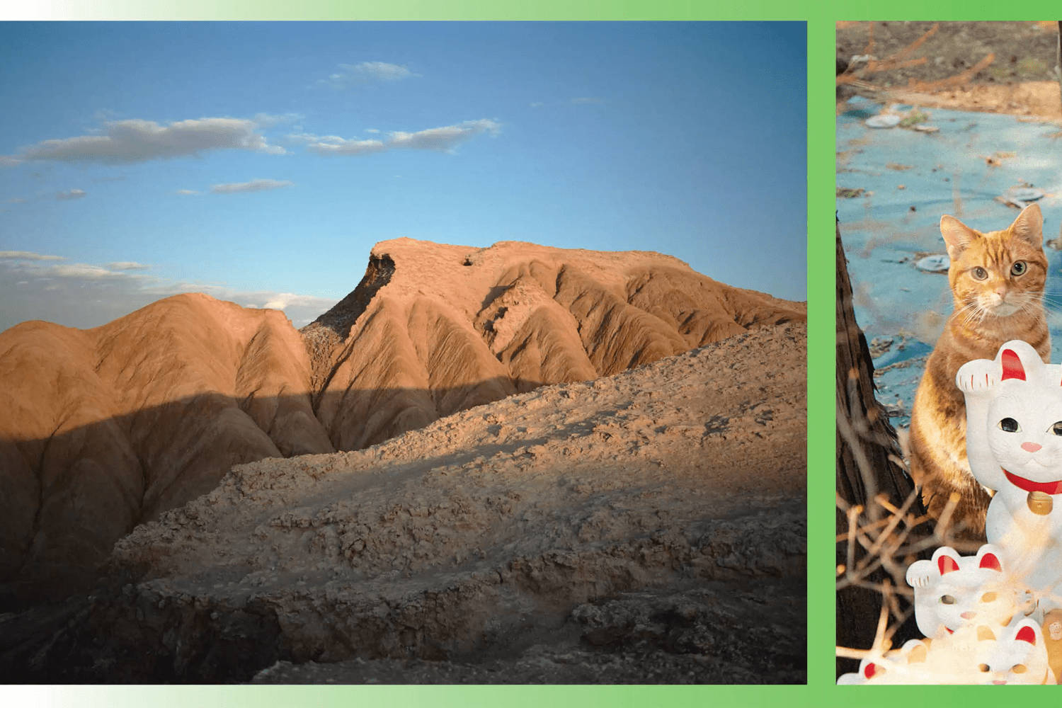 Atacama Çölü'nde Neler Hayatta Kalır? - Haberois Atacama Çölü'nde Neler Hayatta Kalır?