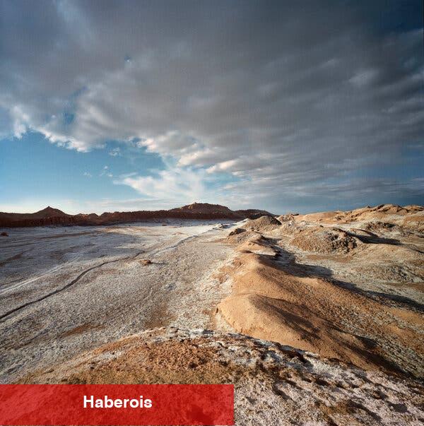 Atacama Çölü'nde Neler Hayatta Kalır? - Haberois Atacama Çölü'nde Neler Hayatta Kalır?