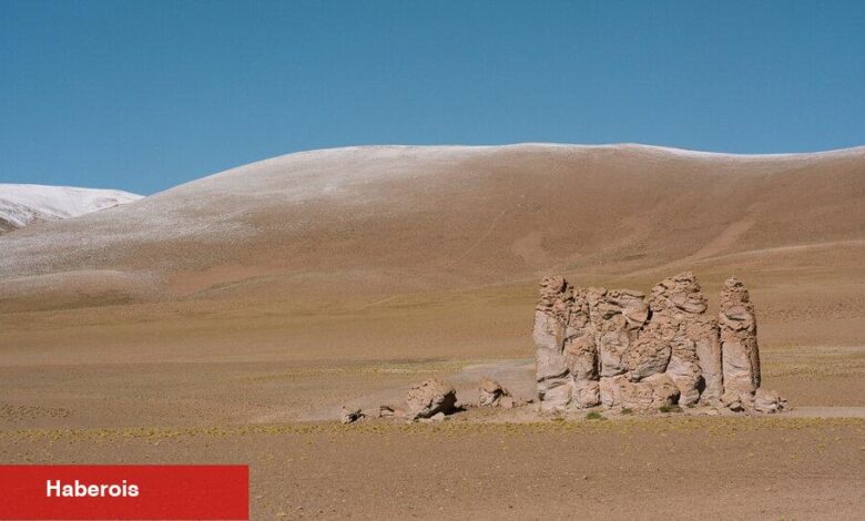 Atacama Çölü'nde Neler Hayatta Kalır? - Haberois Atacama Çölü'nde Neler Hayatta Kalır?