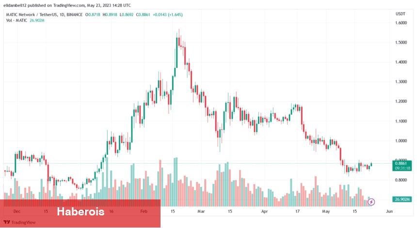 Ayı Piyasasına Karşın Fırlayabilecek 5 Altcoin Bunlar!