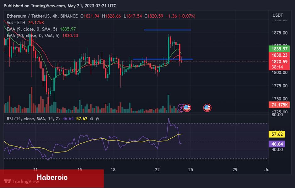 Ayı Piyasasına Karşın Fırlayabilecek 5 Altcoin Bunlar!