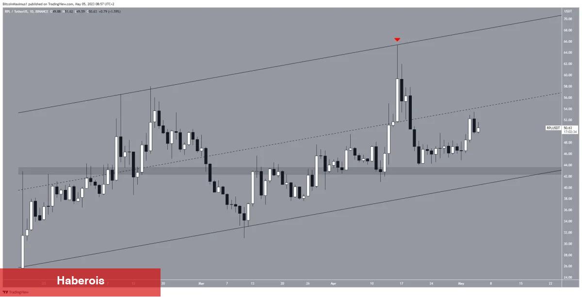Ayı Piyasasında En Çok Kazanan 5 Altcoin!