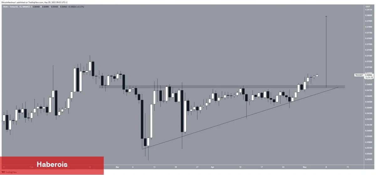 Ayı Piyasasında En Çok Kazanan 5 Altcoin!