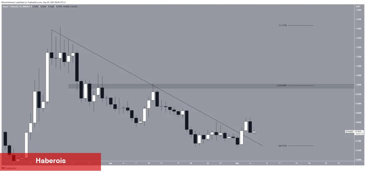 Ayı Piyasasında En Çok Kazanan 5 Altcoin!
