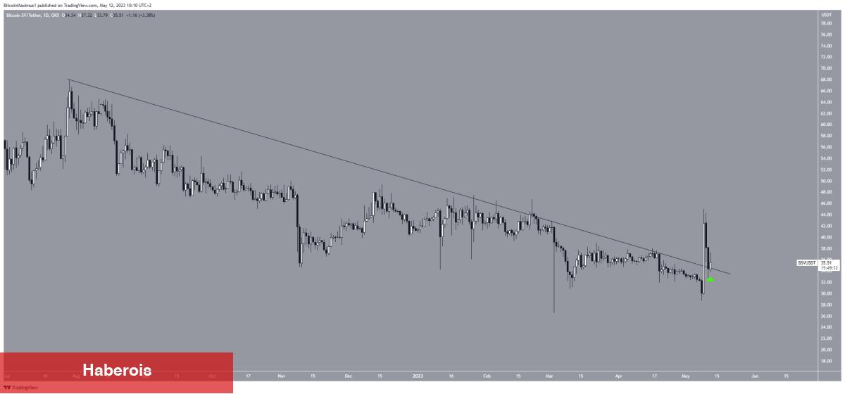 Ayı Piyasasında Yatırımcılara Kazandıran 5 Altcoin Bunlar!