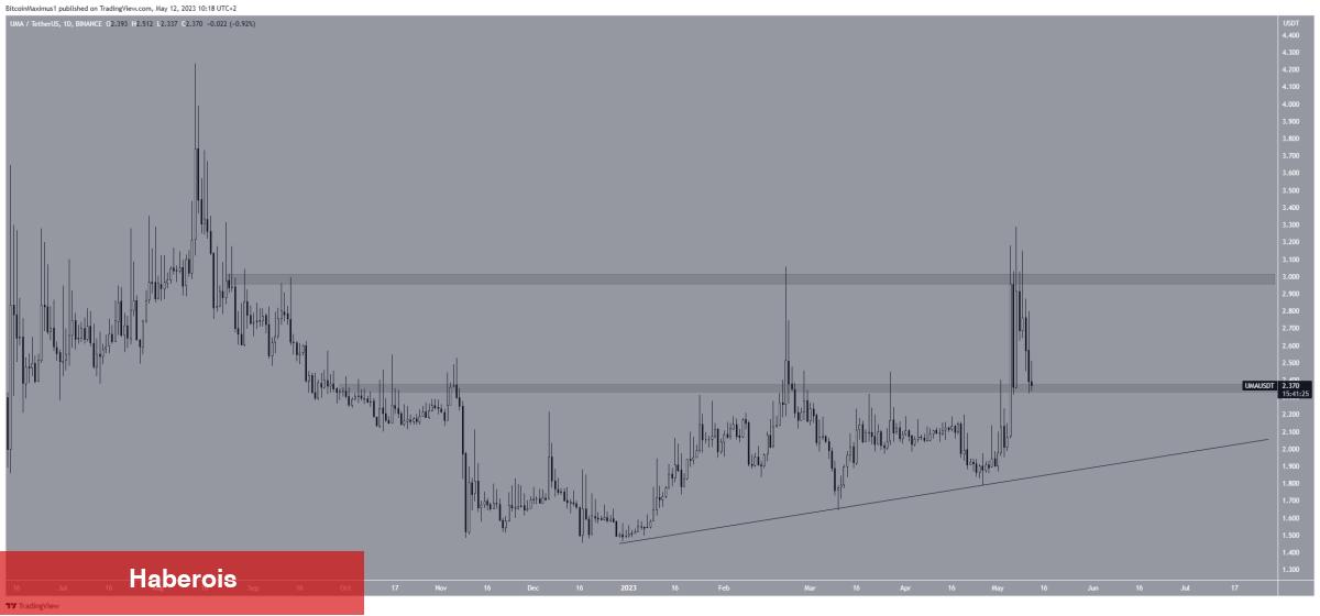 Ayı Piyasasında Yatırımcılara Kazandıran 5 Altcoin Bunlar!