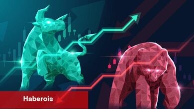 Ayı Piyasasında Yatırımcılara Kazandıran 5 Altcoin Bunlar!