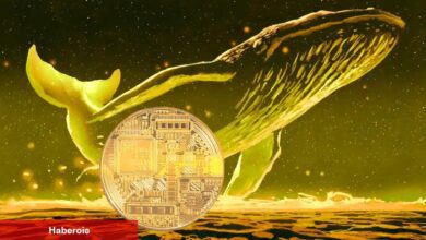 Balinalar Hangi Coinleri Alıyor? Bu 4 Altcoin Listede!