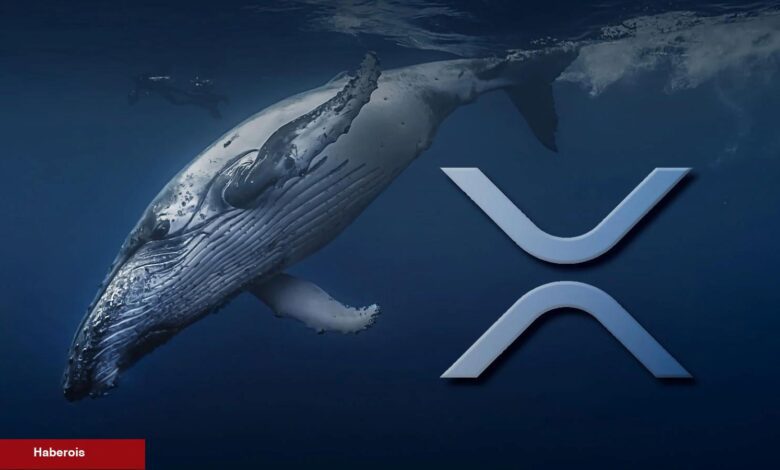 Balinalar Ripple (XRP)’a Akın Etti! Fiyat Nereye Gidiyor? - Haberois Balinalar Ripple (XRP)’a Akın Etti! Fiyat Nereye Gidiyor?