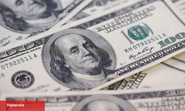 Bankalararası piyasada dolar/TL birinci sefer 20'yi gördü - Haberois Bankalararası piyasada dolar/TL birinci sefer 20'yi gördü