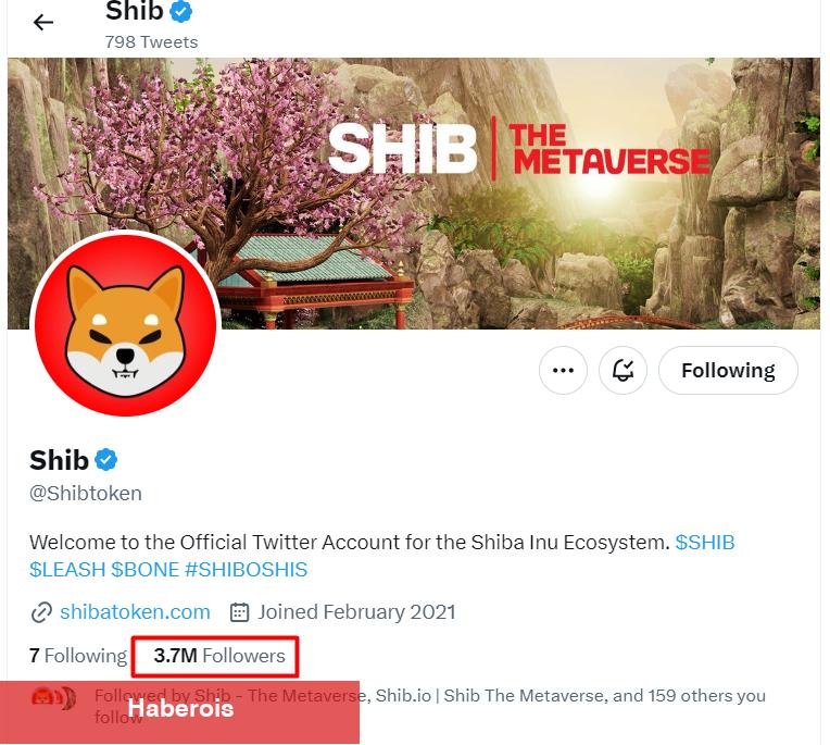 Binance CEO’su DOGE Değil: O Göğüs Coin’den Bahsetti!