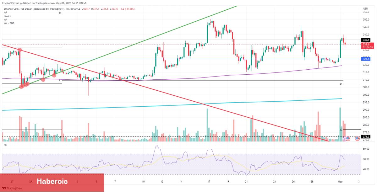 Binance’deki Bu 3 Altcoin İçin Tasa Verici İddialar Var!
