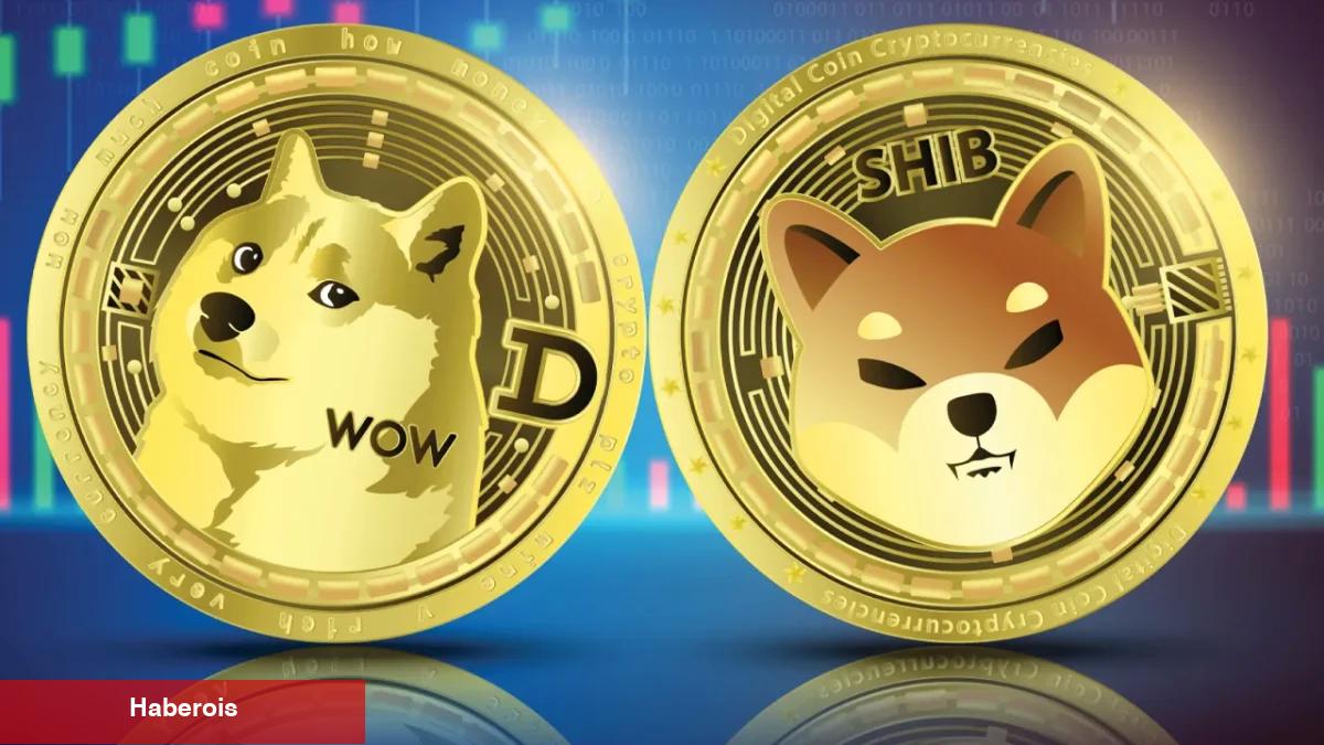 Binance’den SHIB ve Bu Altcoinler İçin Müjdeli Haber!